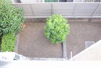 レオパレス玉川 庭