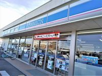 レオネクストウエストＰα 周辺環境