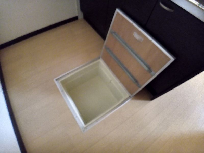 レオネクストセリーヌ その他