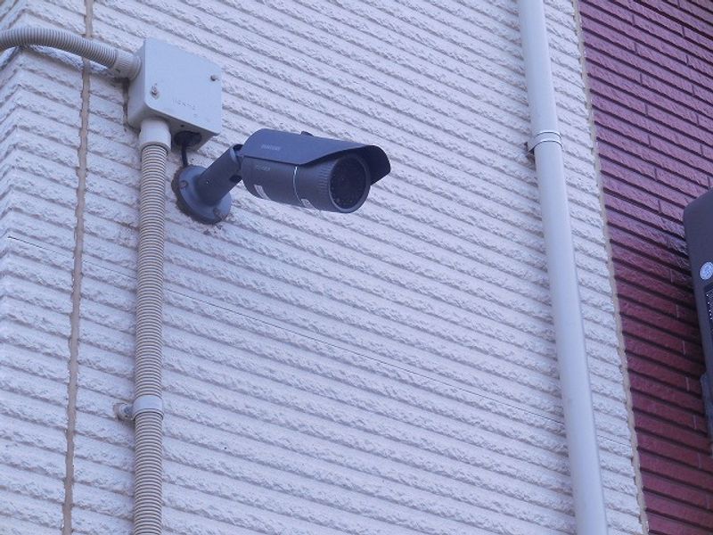 レオネクストヴィラージュ セキュリティ