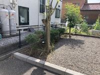 レオネクストゆず 庭