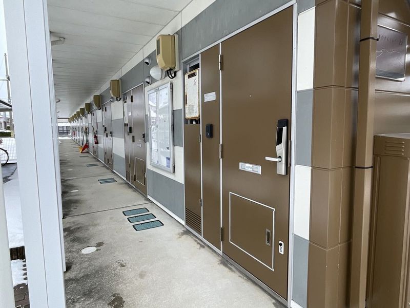 leopalace Primal 기타