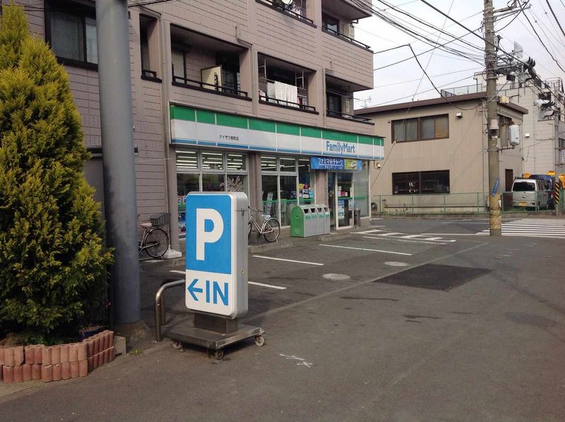 レオネクストアドバンス殿町 周辺環境