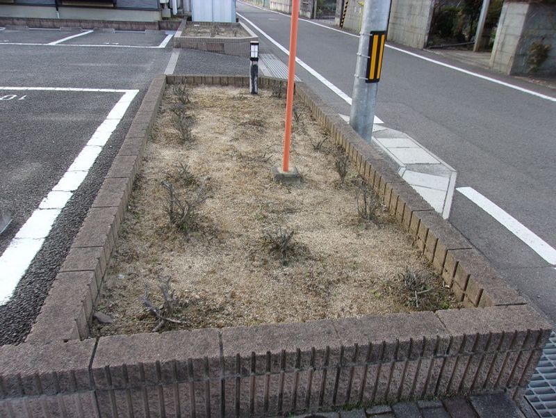 レオパレスグリーンハイツ平内Ｂ 庭