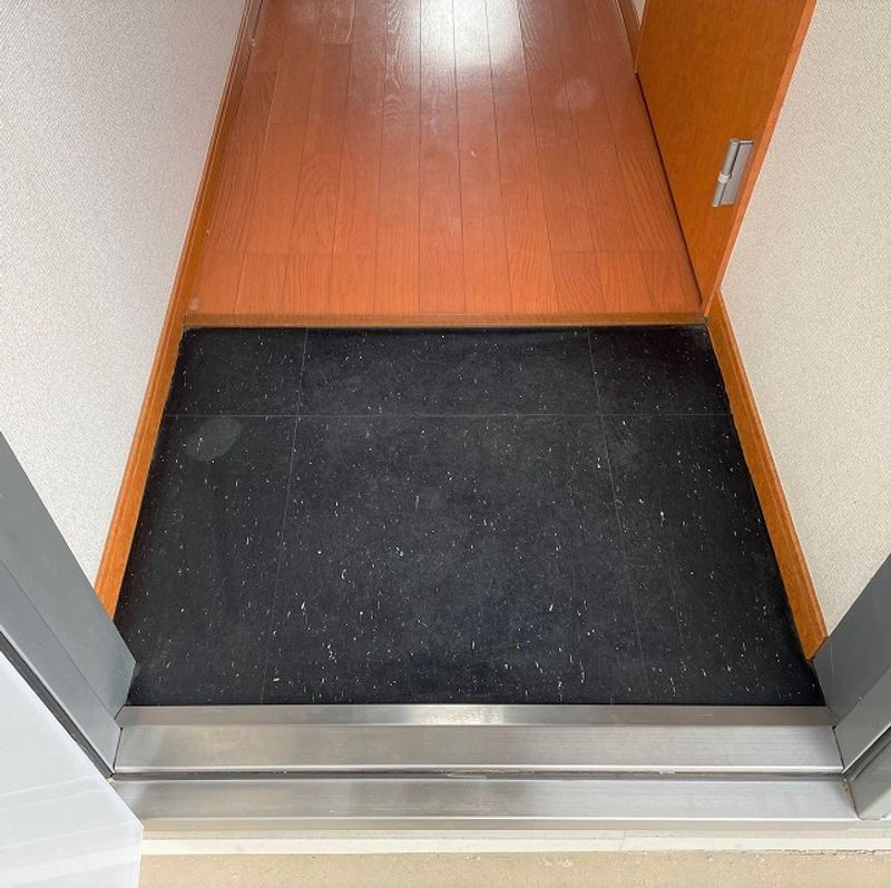 leopalace Cosmos Heights 玄关