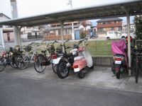 レオネクストレモン 共用部分