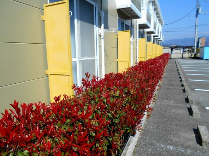 レオパレスアビタシオン 共用部分