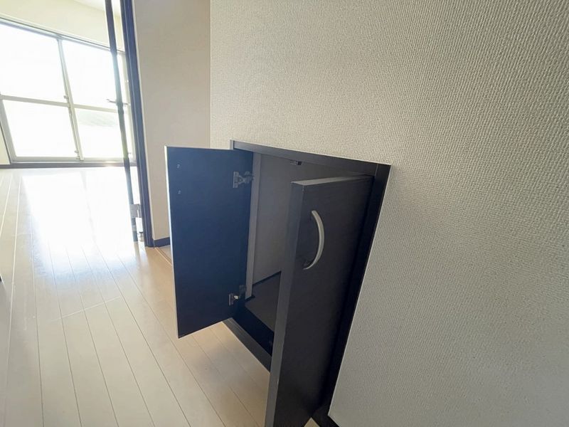 レオネクストレモン 収納