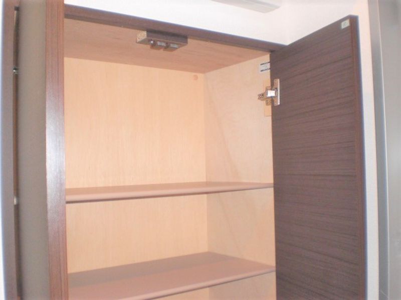 レオネクストエトワール要町 収納