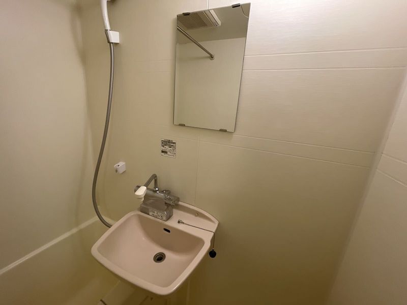 leopalace Christmas Rose Bồn rửa mặt