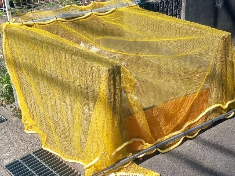 レオパレスＫＯＺＡＫＡ 共用部分