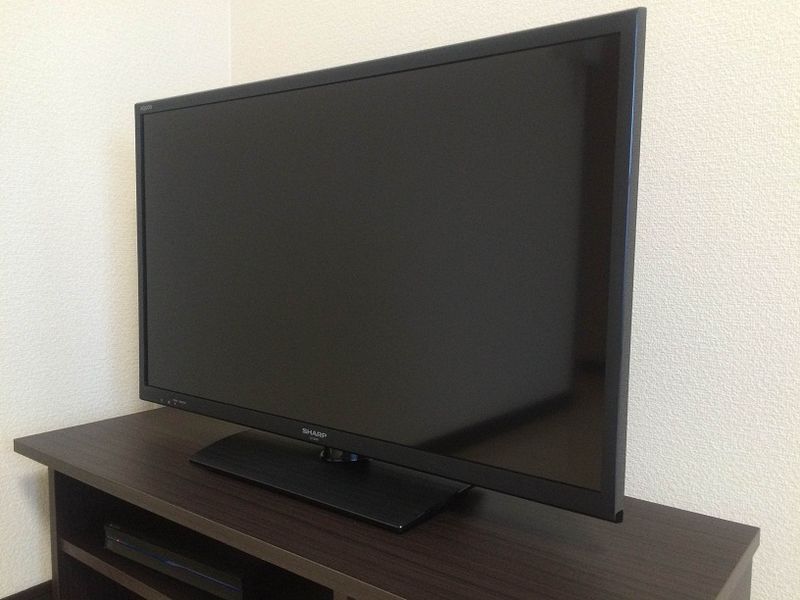 レオネクストファトミリー その他