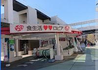 レオネクストシェーンシャイン 周辺環境
