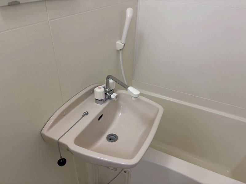 leopalace Chez Vous 洗手台