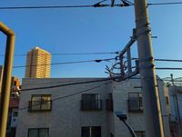 LEONEXT Glanz Fuji 23 전망