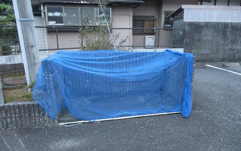 レオパレス興 undefined