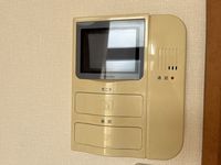レオパレスルーク セキュリティ