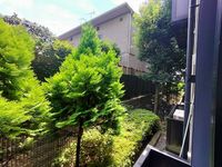 leopalace Roka Kouen I 视野