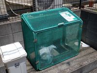 レオパレスヒルサイド今宿 共用部分
