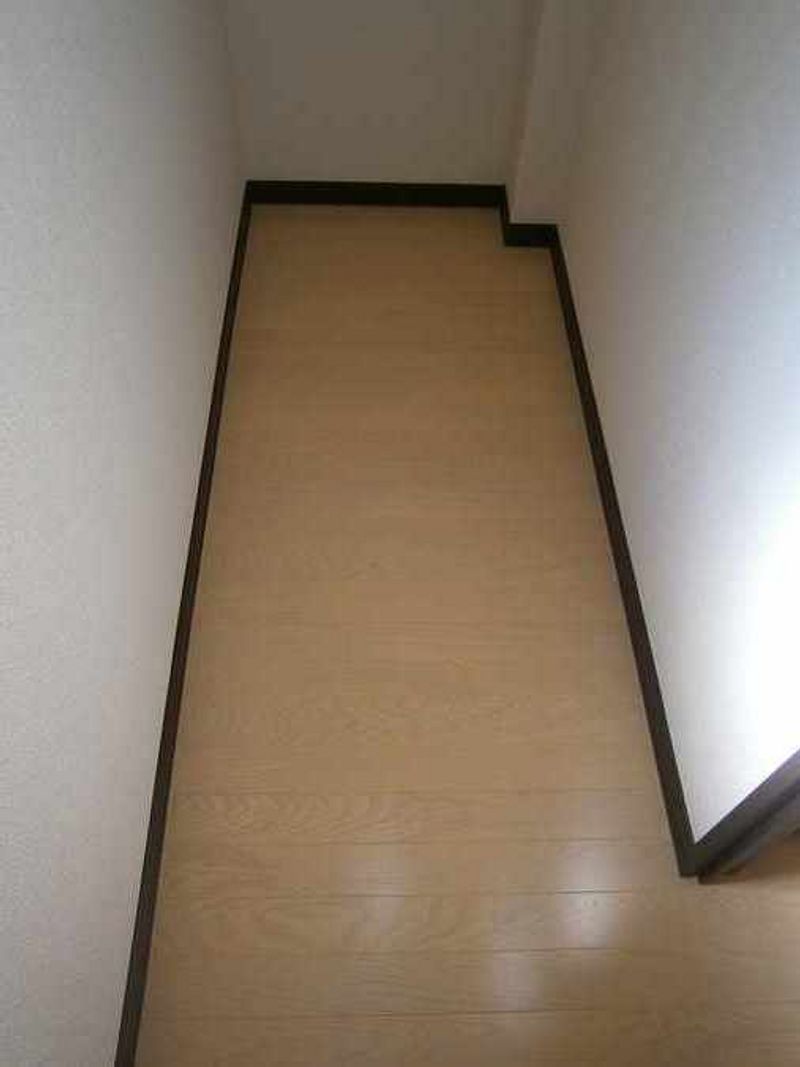 レオネクストライクヒストリー 収納