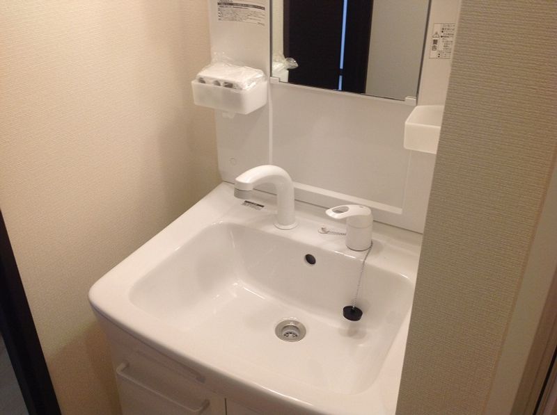 レオネクストやまゆり 洗面所
