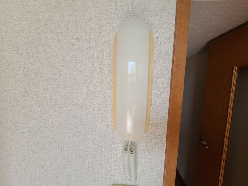 レオパレスフロンティア セキュリティ