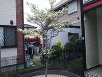 レオパレスシンフォニーくまの その他