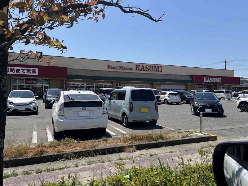 レオパレスアゼリア 周辺環境