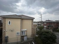 leopalace est 视野