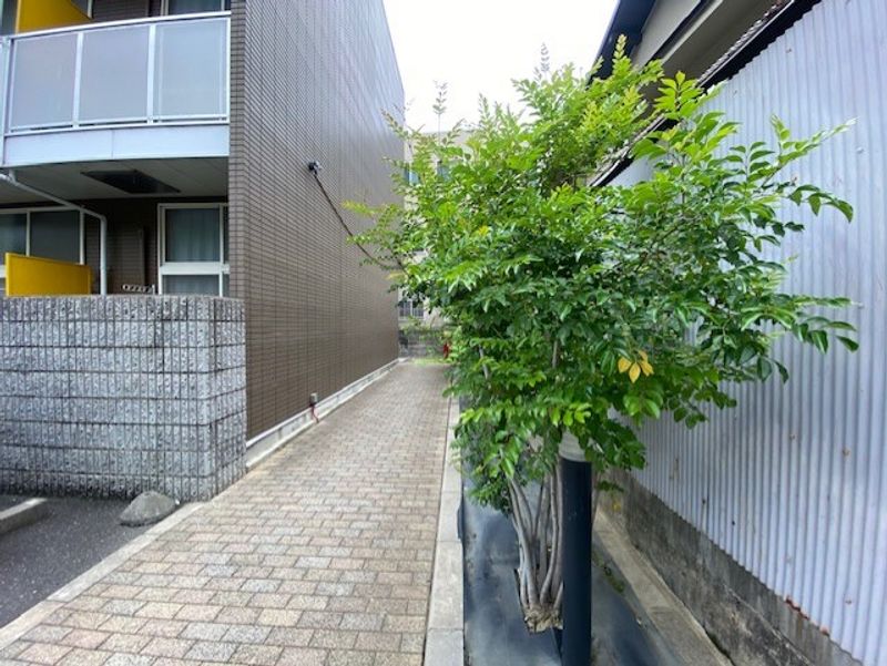 レオパレスＷＡＫＡＫＵＳＡ 共用部分