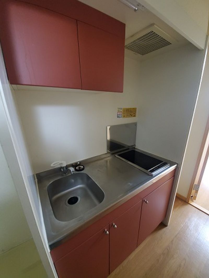 レオネクストパラシオン南明 キッチン