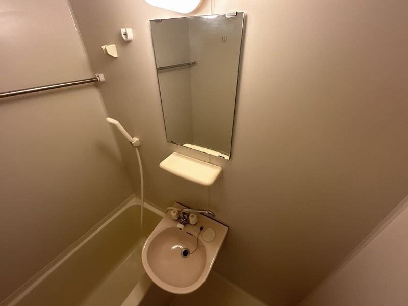 leopalace Crest Sink
