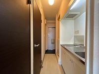 LEONEXT Blue Ridge II Lối vào