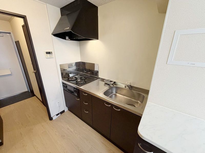 LEONEXT Lake Char Kitchen