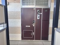 leopalace Seed Jodou I Other