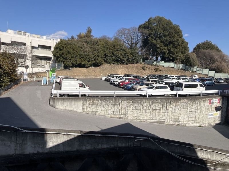 レオネクストＨＡＮＡＷＡＤＡ 周辺環境