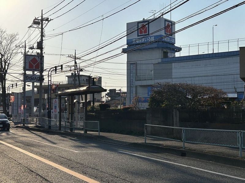 レオネクストひまわりⅡ 周辺環境