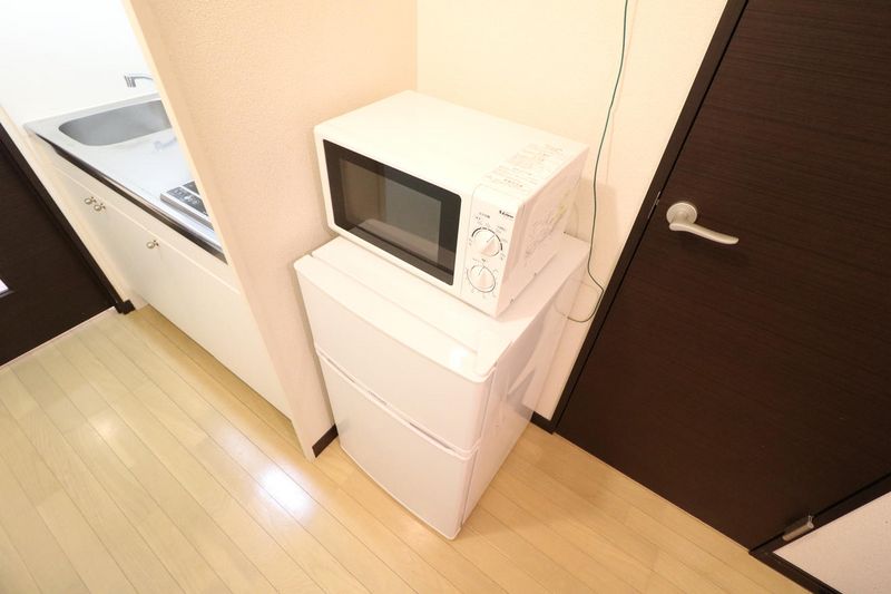 レオネクストクール　ド　イリス その他