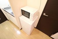 レオネクストクール　ド　イリス その他