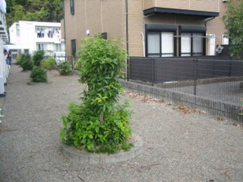 レオパレスアムール 共用部分