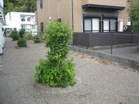 レオパレスアムール 共用部分