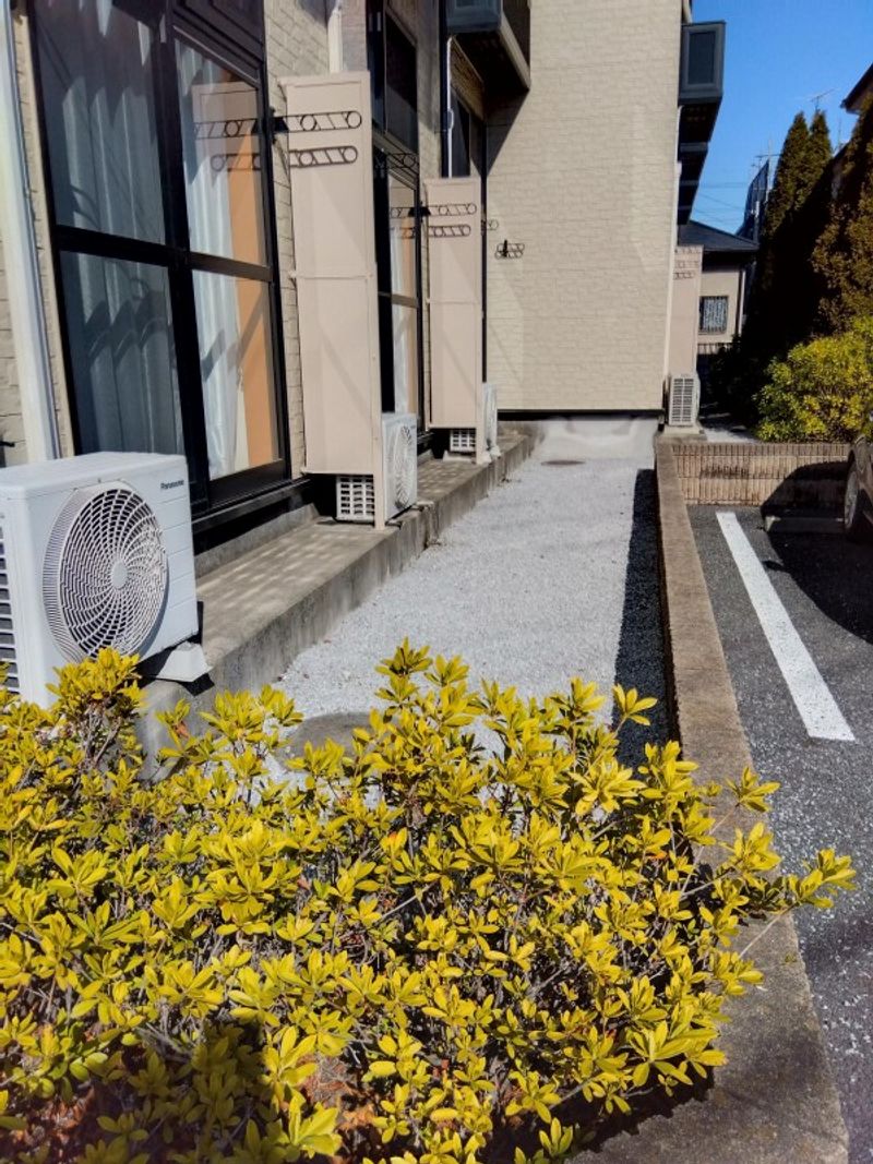 レオパレスプチドムール　サカエ 庭