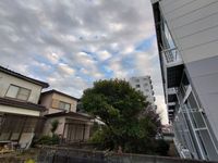 レオパレスパークサイド南熊本 眺望