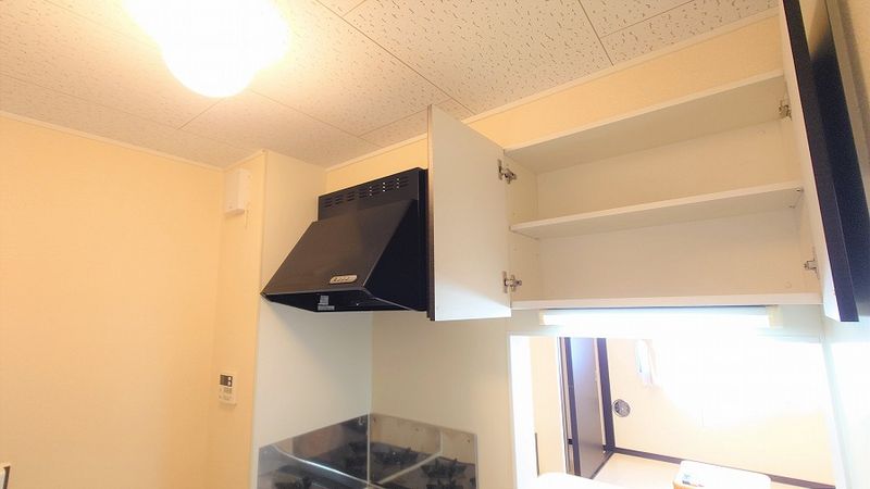 LEONEXT Plaisir Sedo II 기타