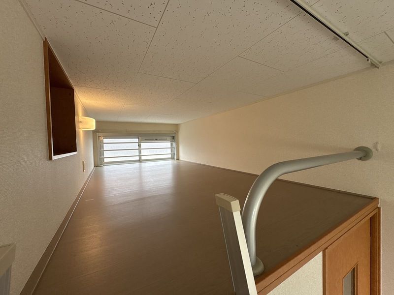 leopalace Fried 기타