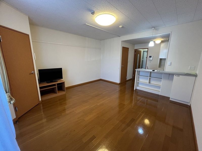 leopalace Matsuyama Inter 客厅