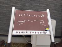 レオパレスポートビレッジ その他