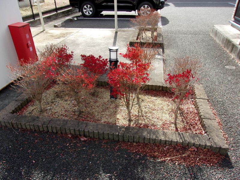 レオパレスＹＡＮＡＧＡＷＡ 庭