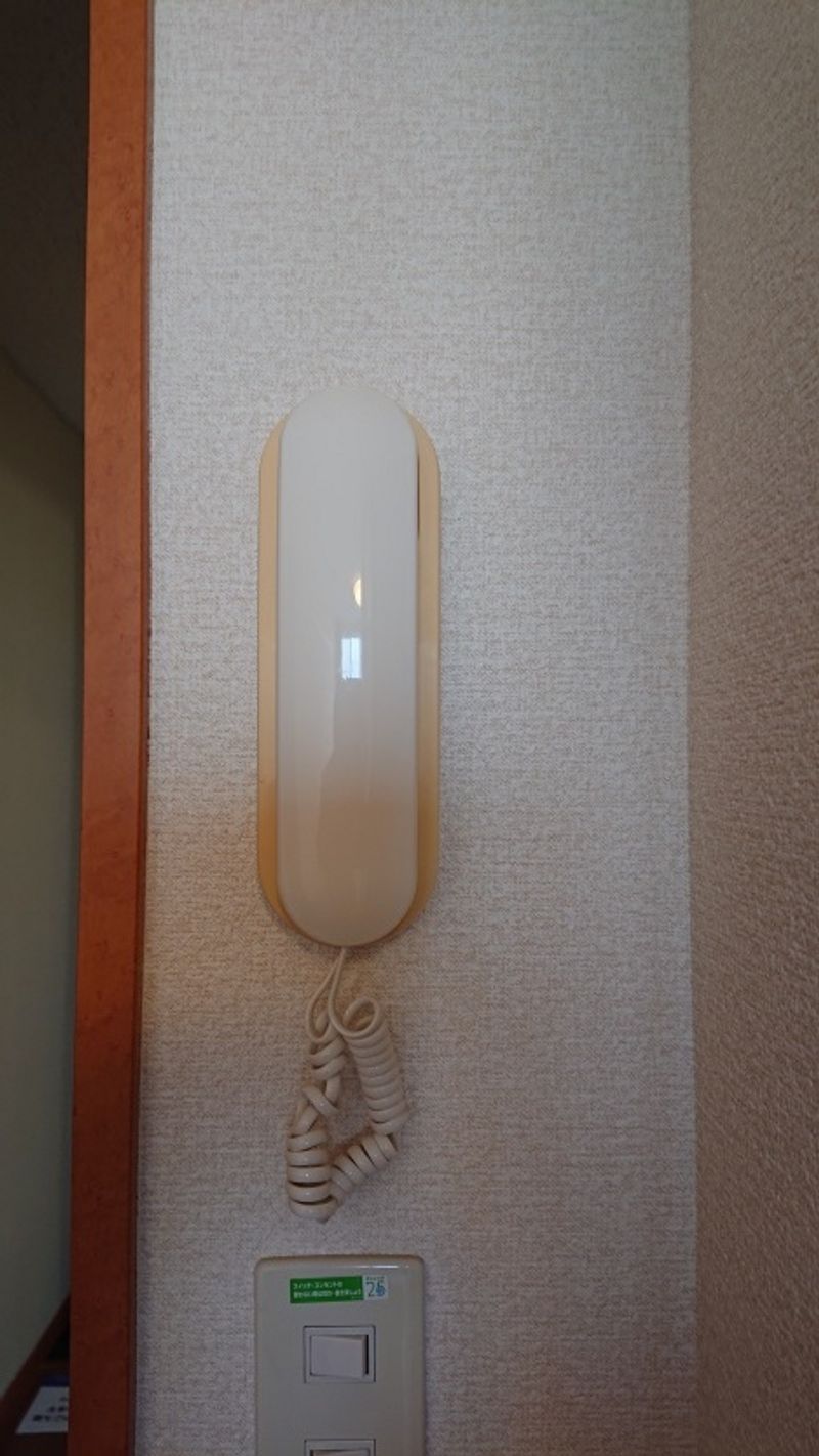 レオパレスつつじが丘 セキュリティ