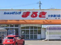 レオパレスサン 周辺環境